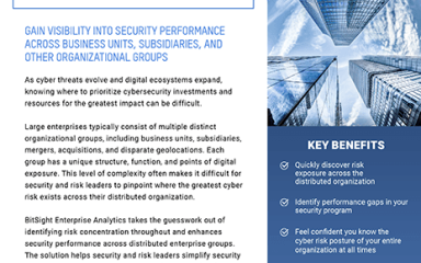 BitSight Enterprise Analytics